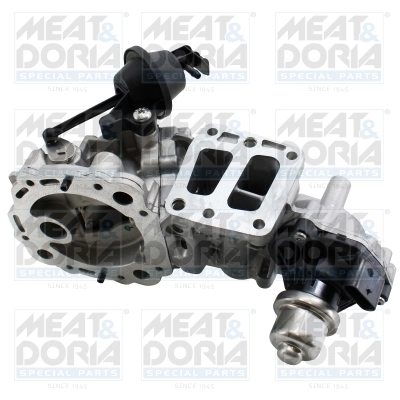 EGR Valve